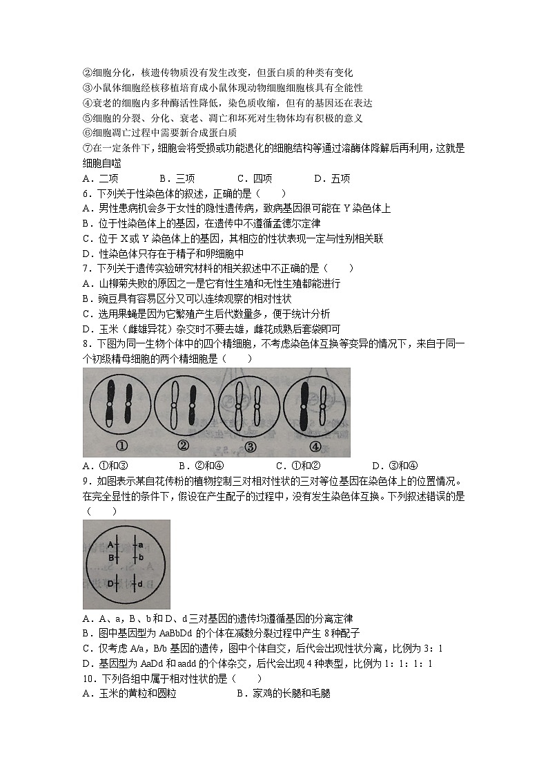 安徽省六安市第一中学2022-2023学年高一生物下学期期中试题（Word版附解析）02