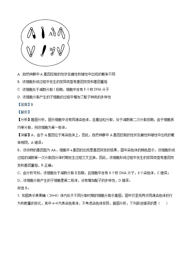 安徽省名校2021-2022学年高一生物下学期期末试题（Word版附解析）03
