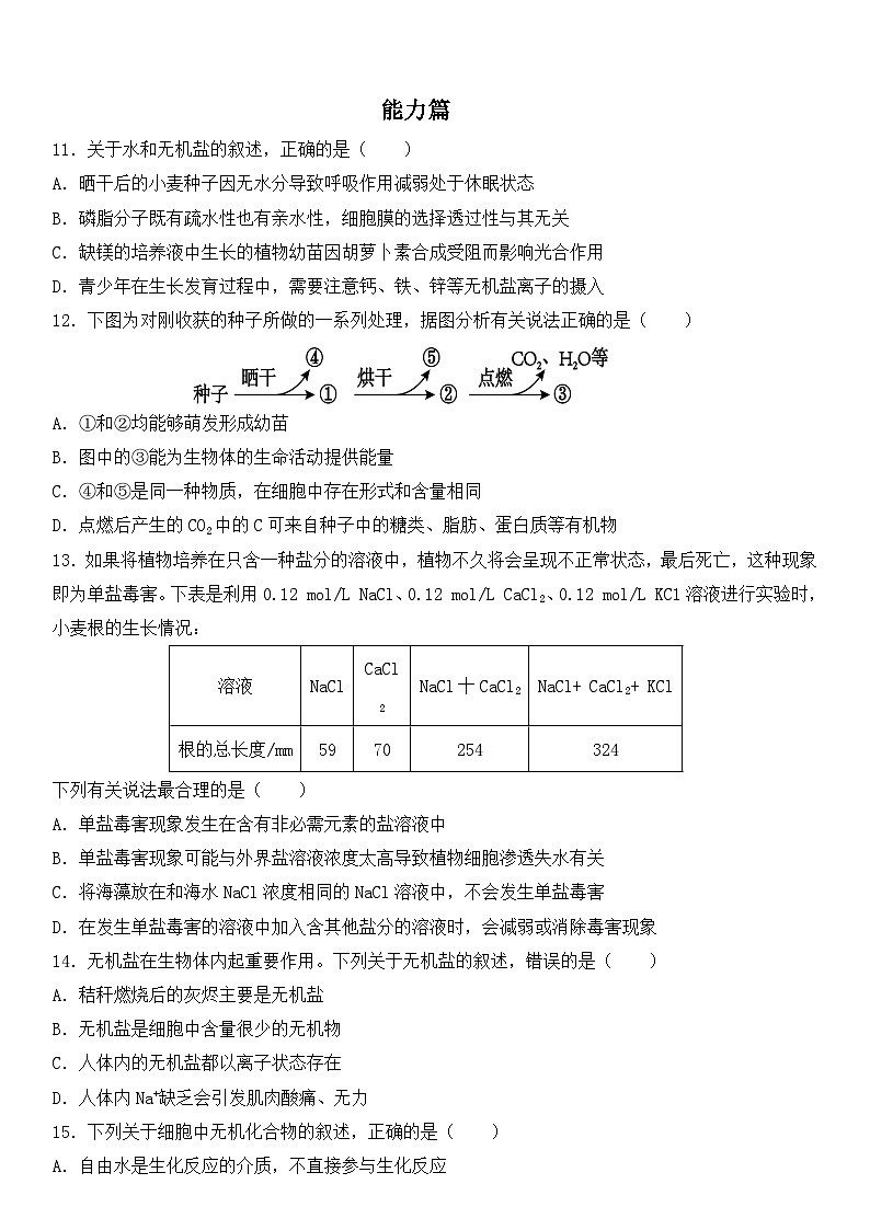 人教版2019必修一生物学2.2《细胞中的无机物》课件+同步分层练习03