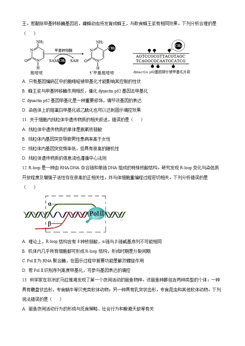 2023江苏省淮宿七校高一下学期第三次联考生物试题含解析03