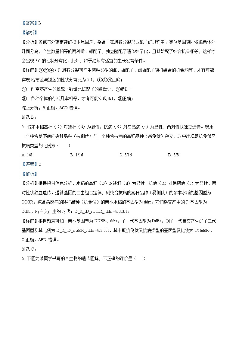 四川省成都列五中学2022-2023学年高一生物下学期6月月考试题（Word版附解析）第3页