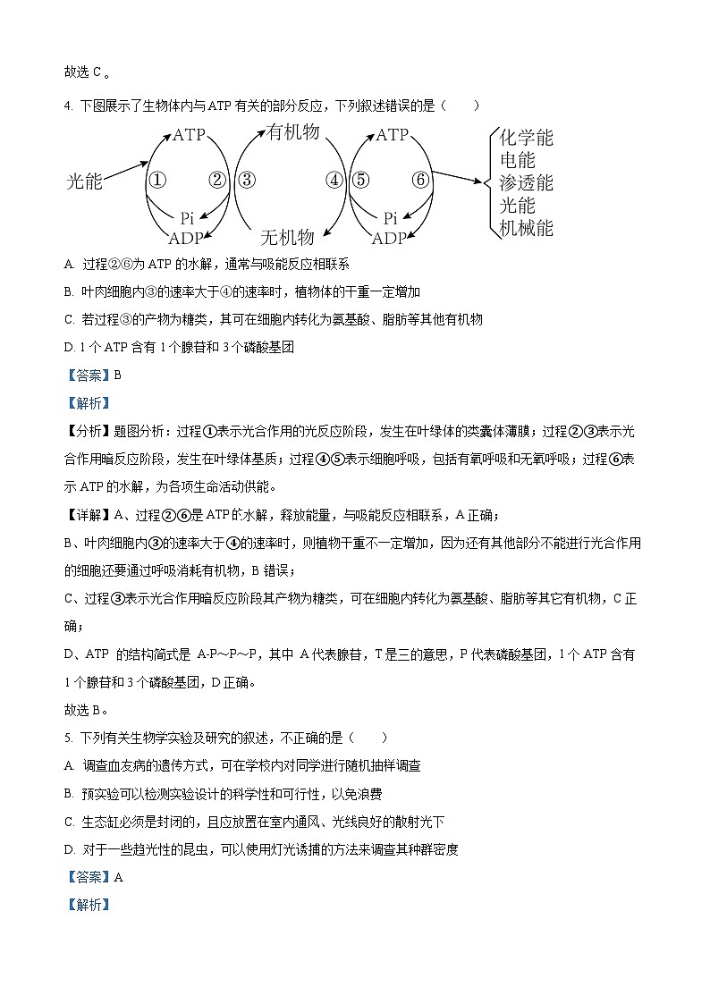四川省成都市石室中学2023届高三生物高考冲刺卷（一）试题（Word版附解析）第3页
