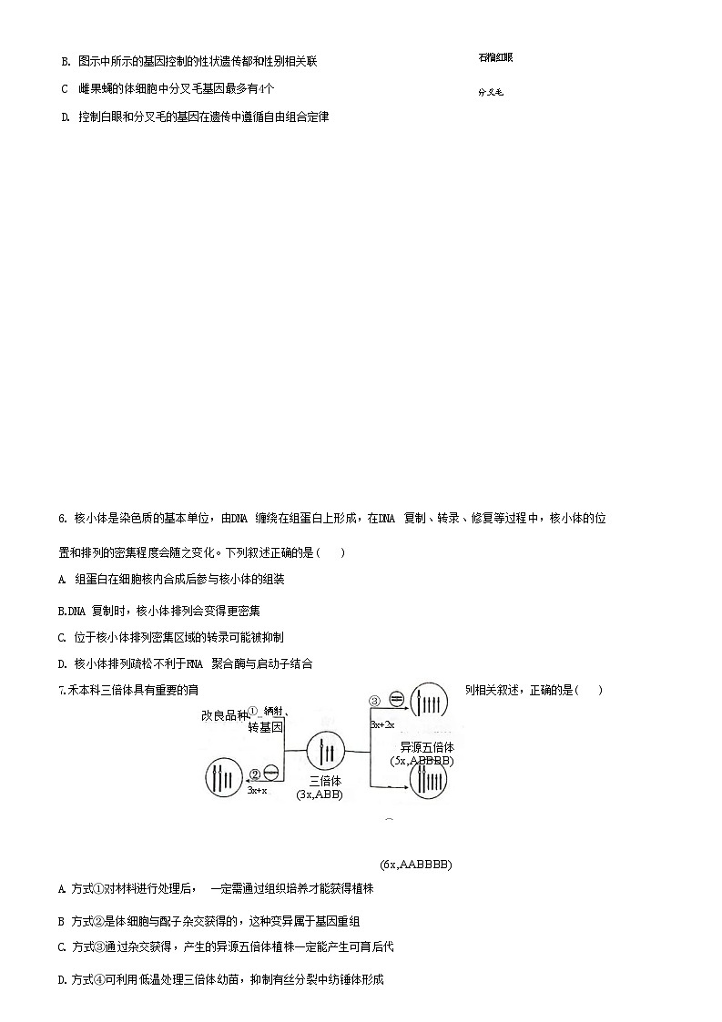 2023届北京市海淀区中国人民大学附属中学高三下学期三模试题生物第2页