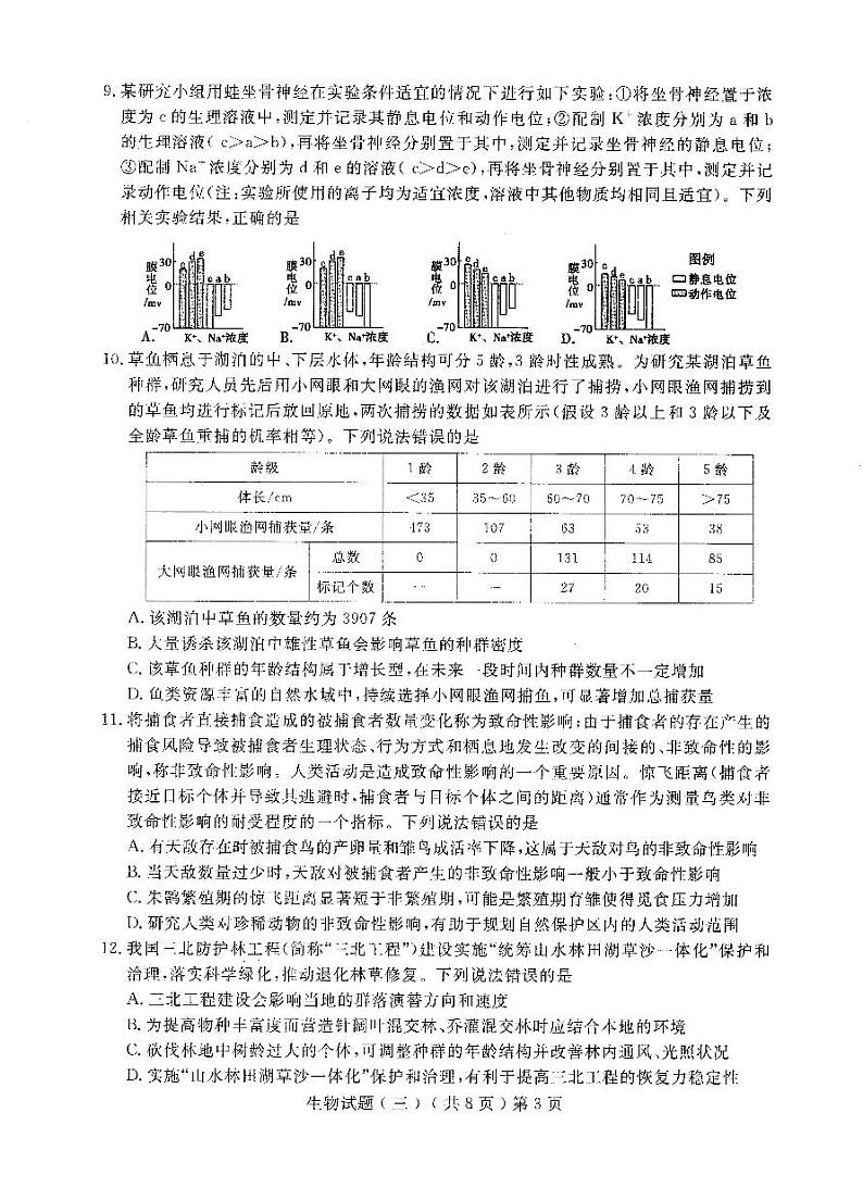 2023届山东省聊城市高三下学期三模试题生物PDF版含答案03
