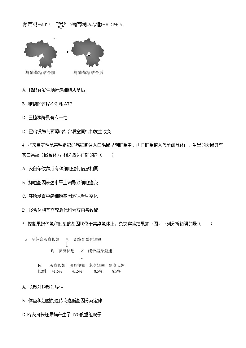 2023届北京市西城区高三二模生物试题含答案02