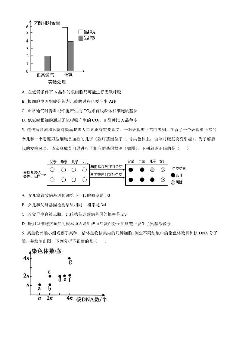 2023届天津市河北区高三二模生物试题PDF版含答案02