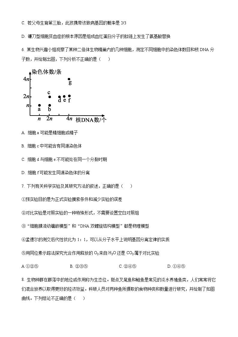 2023届天津市河北区高三二模生物试题含答案03