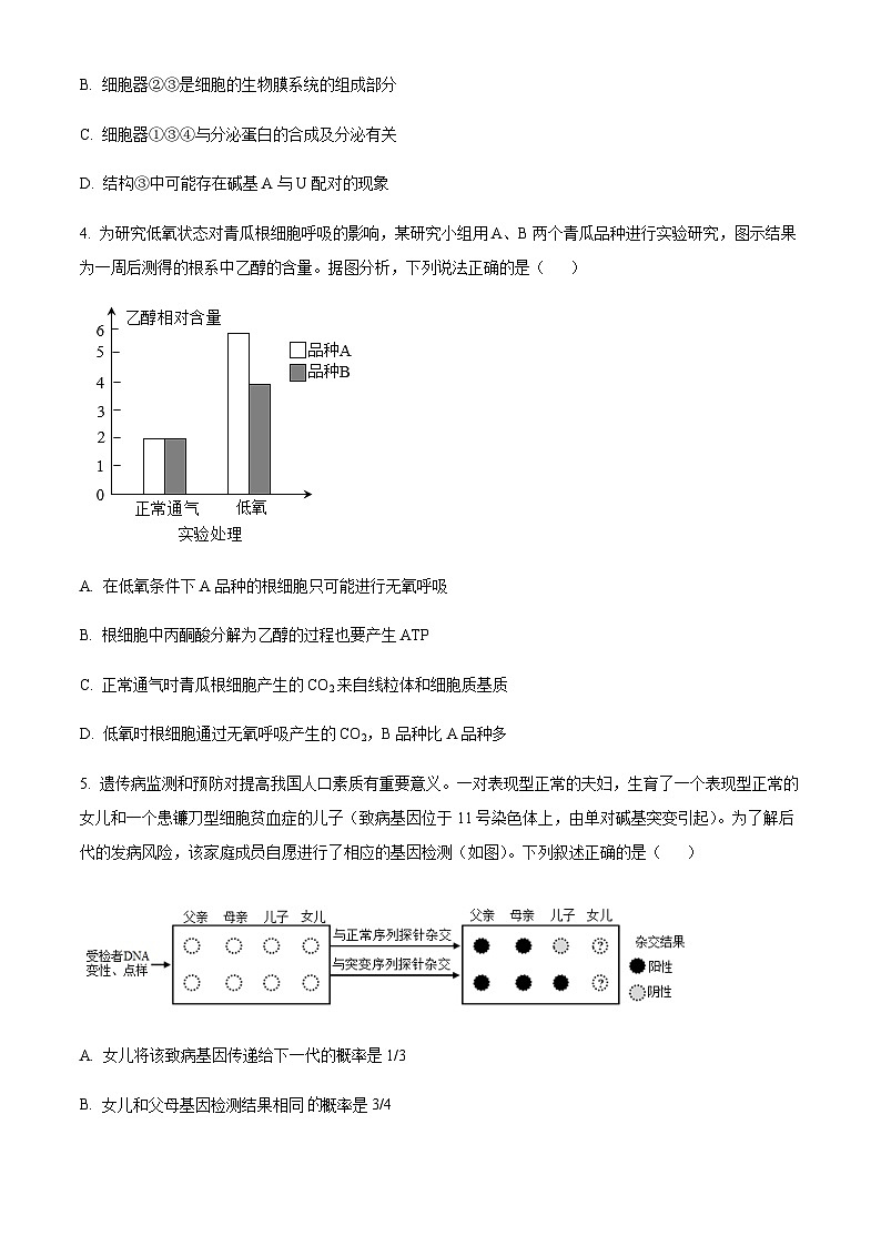 2023届天津市河北区高三二模生物试题含解析02