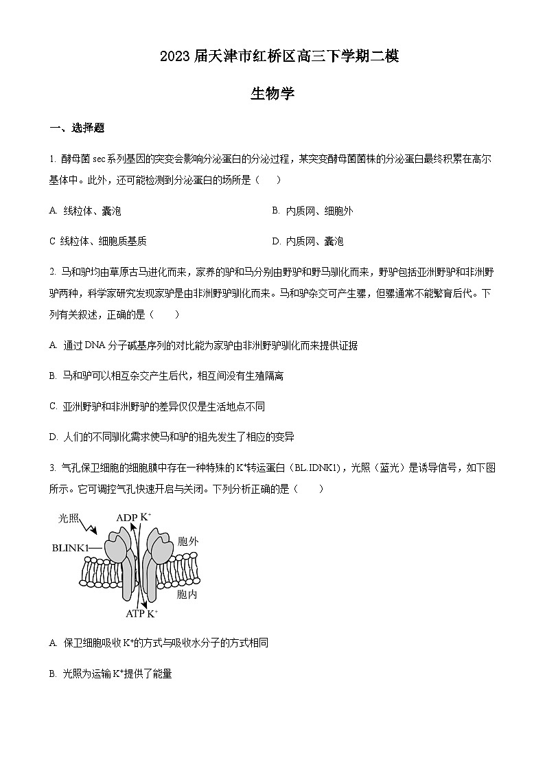 2023届天津市红桥区高三下学期二模生物试题含解析第1页