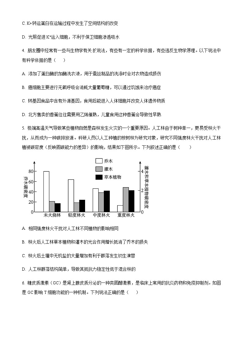 2023届天津市红桥区高三下学期二模生物试题含解析第2页