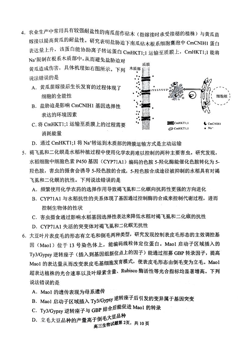 2023届山东省威海市高三下学期第二次模拟考试生物PDF版含答案02