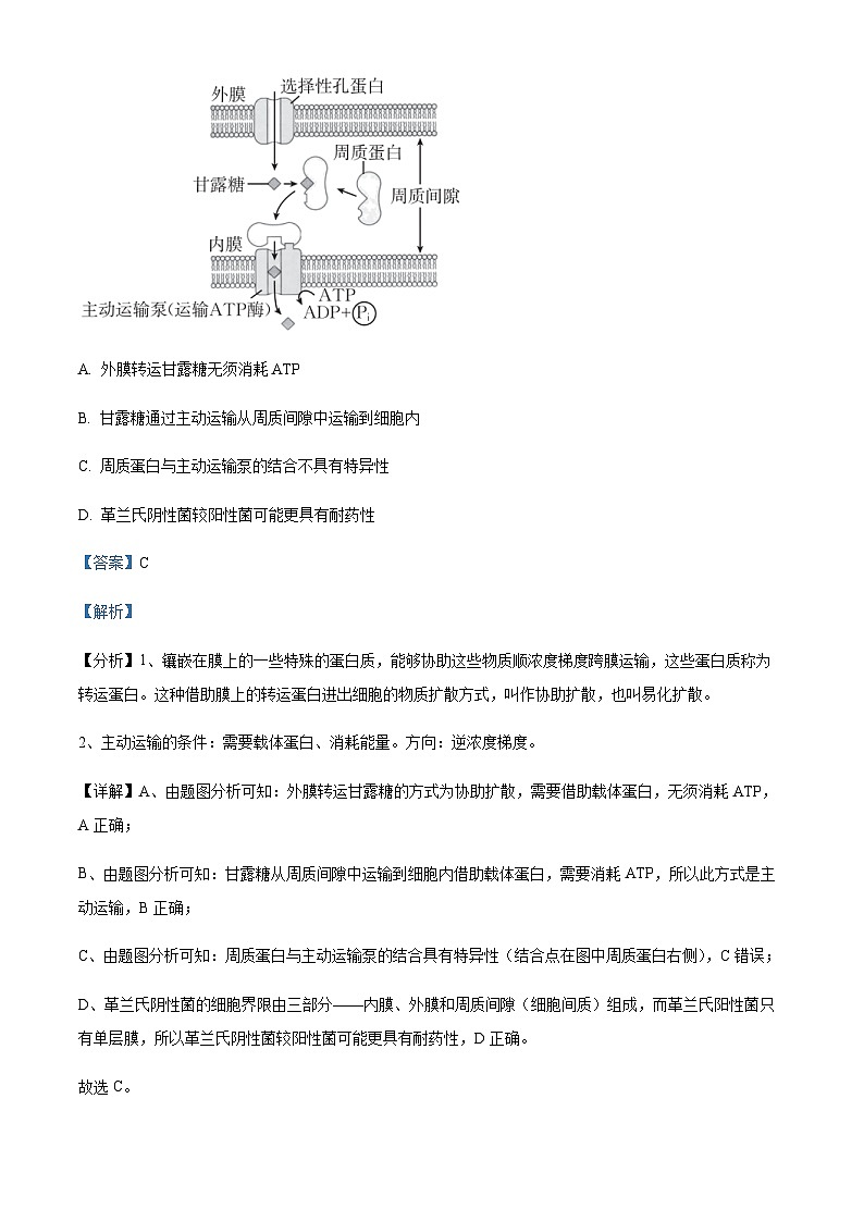 2023届湖北省天门市高三下学期5月适应性考试生物第2页