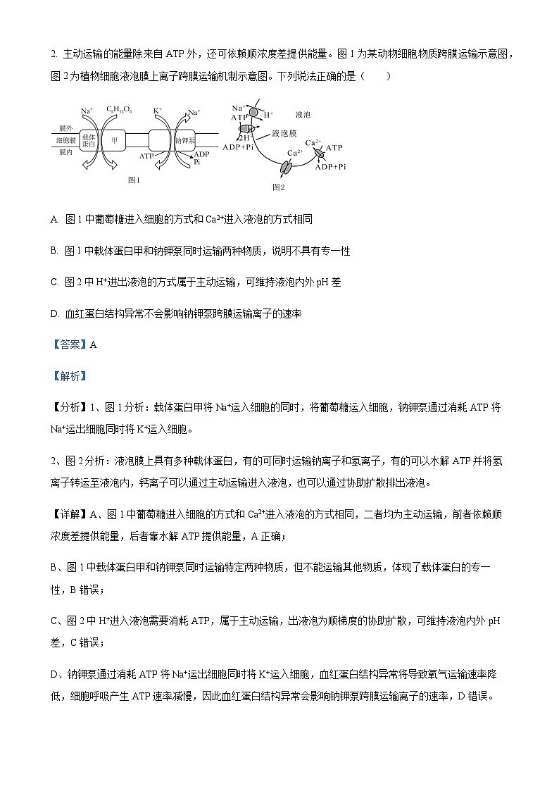 2023届浙江省北斗新盟高三5月联合考试生物试题Word版含解析02