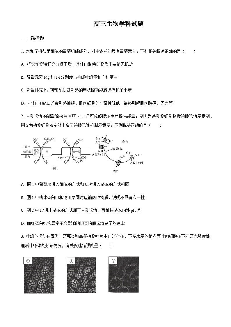 2023届浙江省北斗新盟高三5月联合考试生物试题Word版含解析01