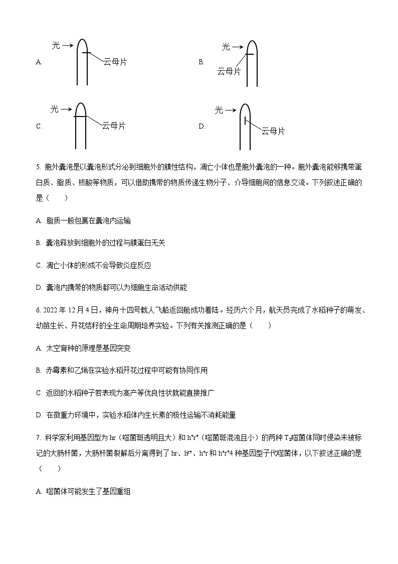 2023届浙江省金华市东阳市高三5月模拟考试生物试题含答案第2页