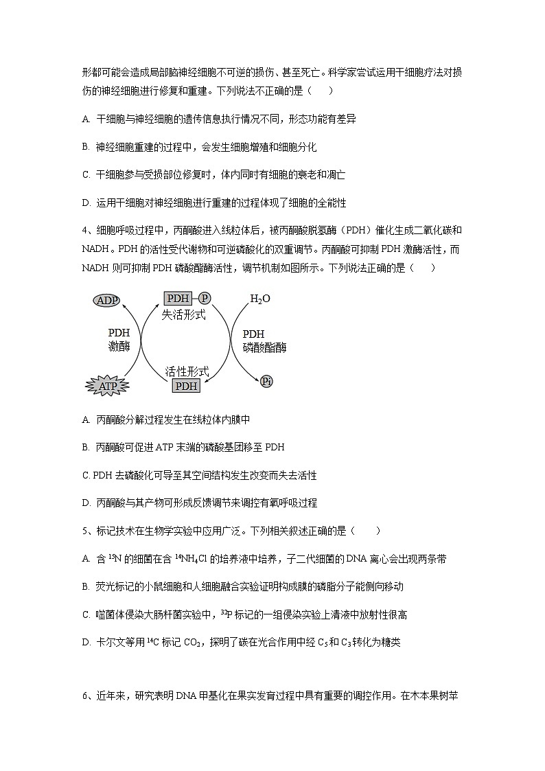 2023年高考生物考前信息必刷卷（五）（福建卷）含答案第2页