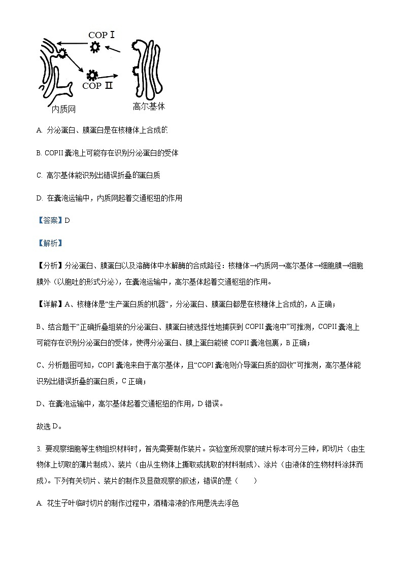 2023届重庆市万州第二高级中学普通高中学业水平选择性考试模拟（五）生物试题Word版含解析第2页