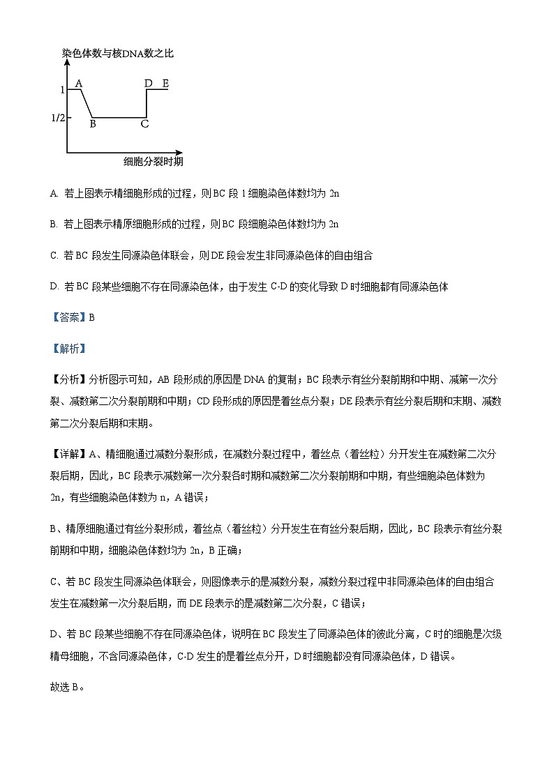 2023届四川省南江中学高三下学期模拟训练生物试题含答案第2页