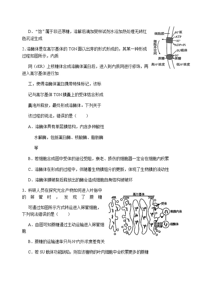 2023届湖北省武汉二中等校高三下学期高考冲刺模拟试卷（八）生物含答案第2页
