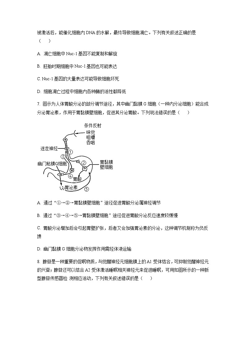 2023届湖北省襄阳市五中高三适应性考试(一)生物试题含答案03