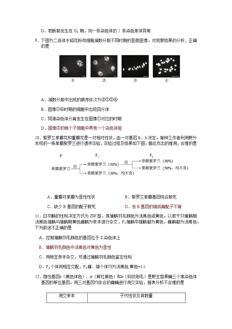 2022-2023学年北京市海淀区高三下学期查缺补漏试题生物含答案03
