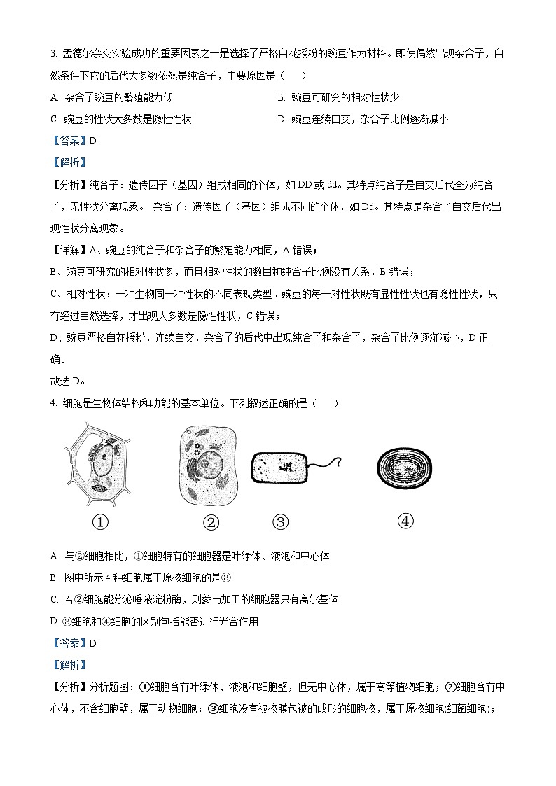 浙江省北斗联盟2022-2023学年高一生物下学期期中联考试题（Word版附解析）第2页