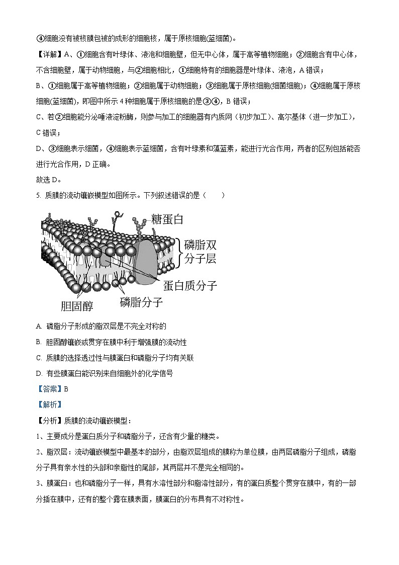 浙江省北斗联盟2022-2023学年高一生物下学期期中联考试题（Word版附解析）第3页