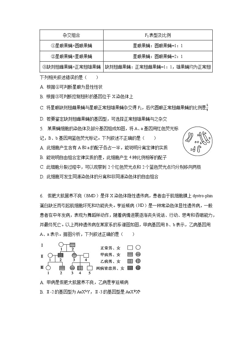 2022-2023学年山东省潍坊市诸城市、安丘市、高密市高一（下）期中生物试卷（含解析）02