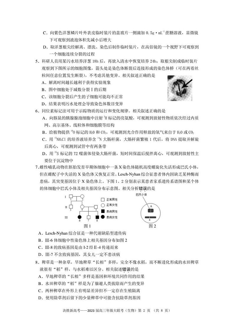 2023届江苏省决胜新高考高三下学期5月份大联考生物试题02