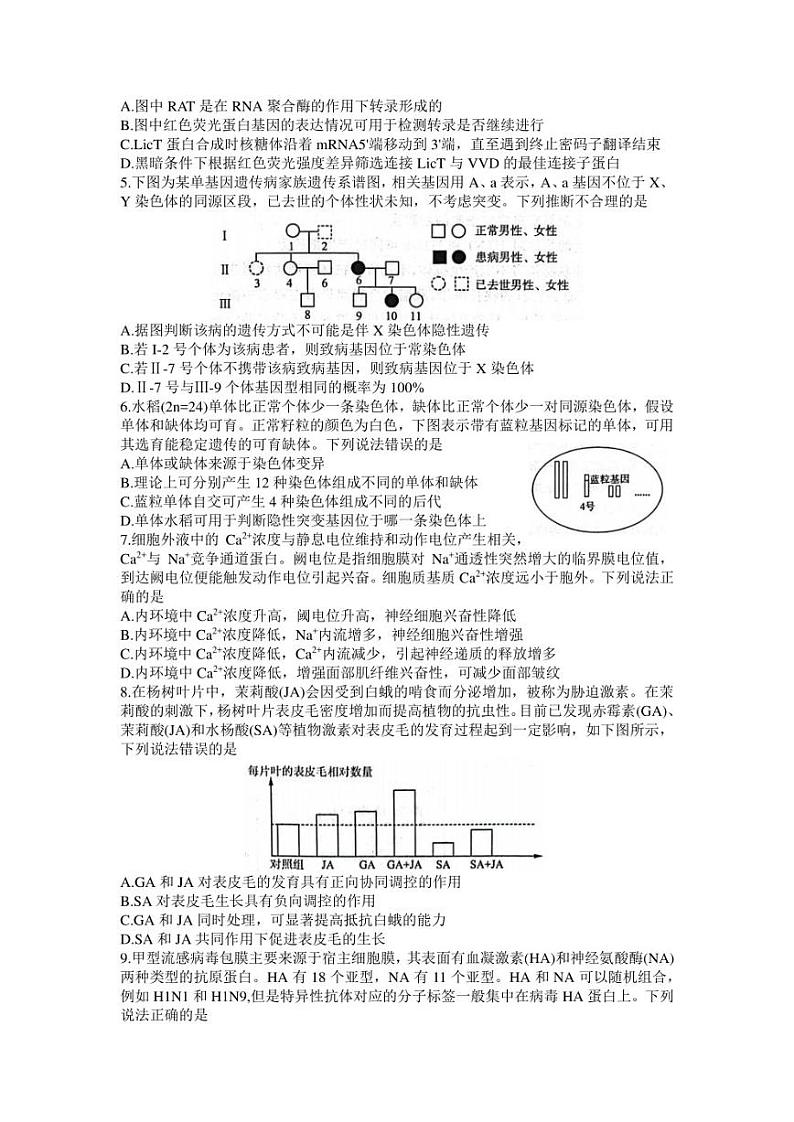 2023届山东省济南市5月高三针对性训练（三模）生物试题02