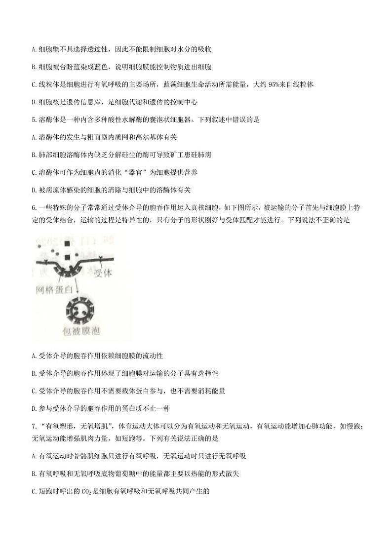 江西省吉安市2022-2023高三上学期期末生物试卷+答案02