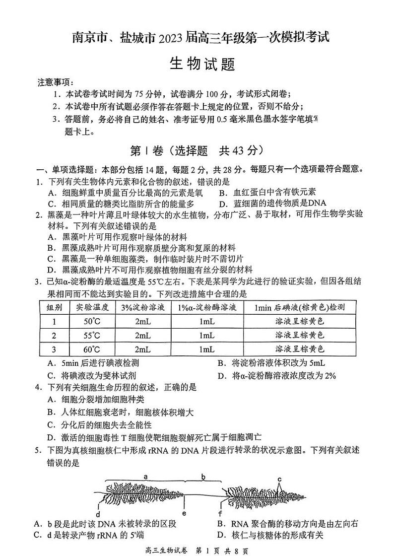 江苏省盐城市南京市2023届高三上学期期末调研测试生物试卷+答案01