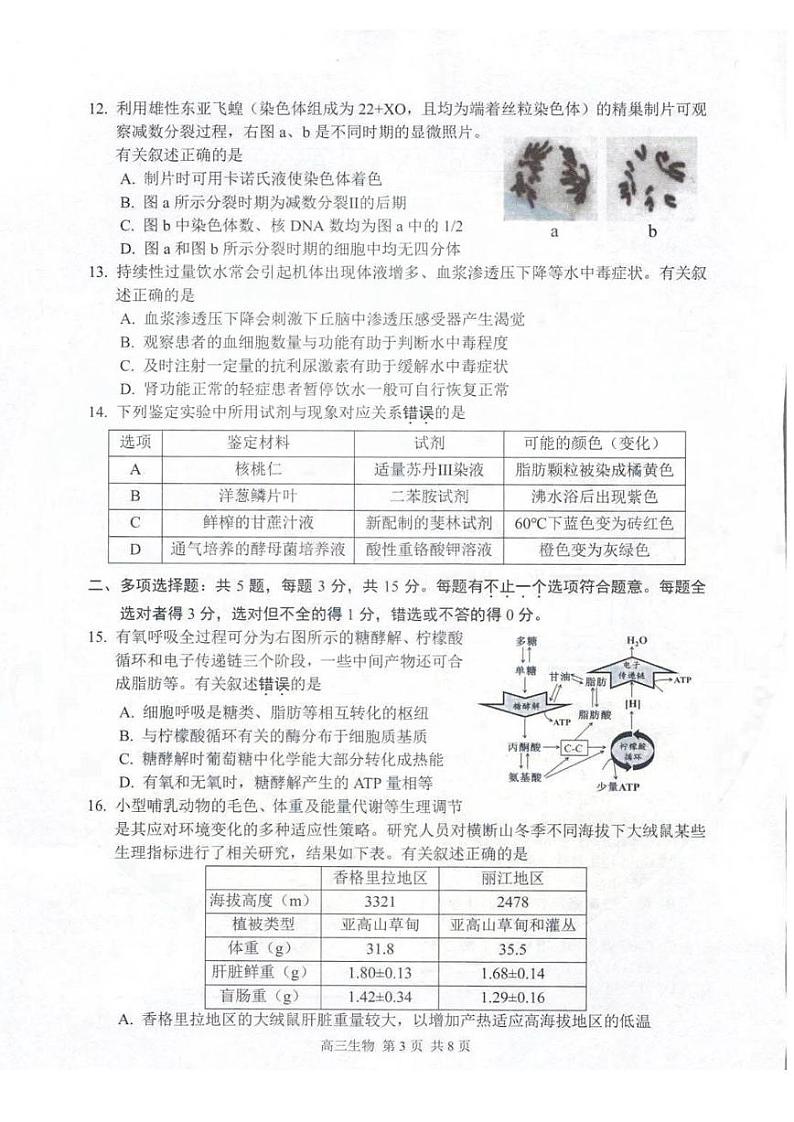 江苏省苏州市2023届高三上学期期末学业质量阳光指标调研生物试卷+答案03