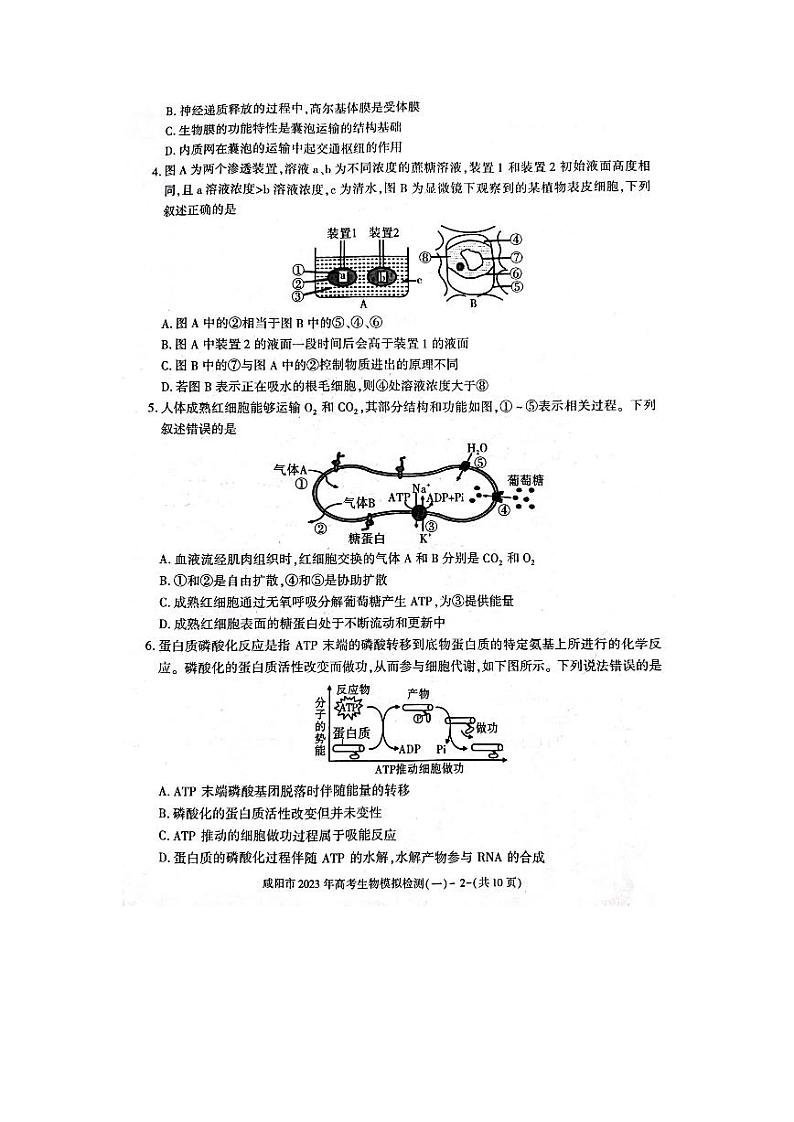 陕西省咸阳市2023届高三生物一模试卷及答案02