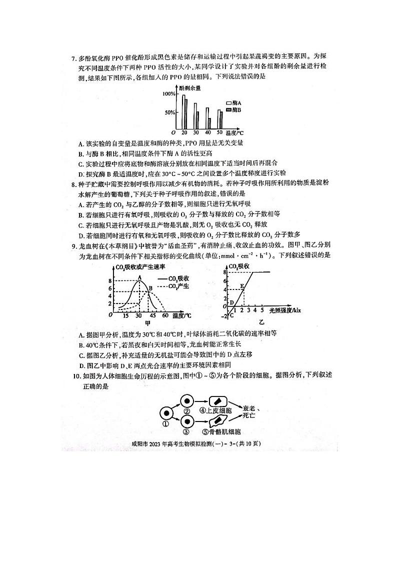 陕西省咸阳市2023届高三生物一模试卷及答案03