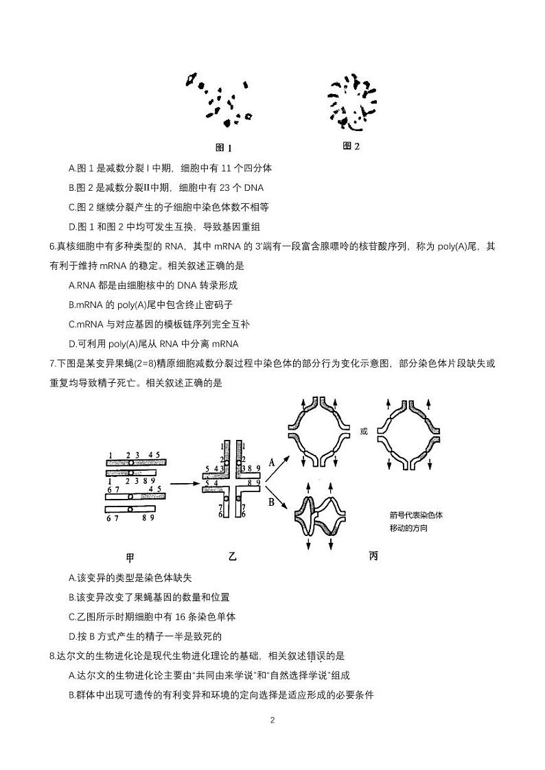 江苏省苏北七市2023届高三第一次调研测试一模生物试卷+答案02