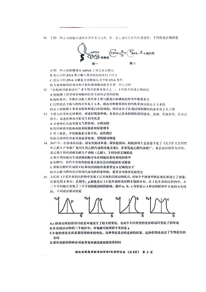 湖北省荆荆宜仙2023届高三下学期2月联考生物试卷+答案第3页