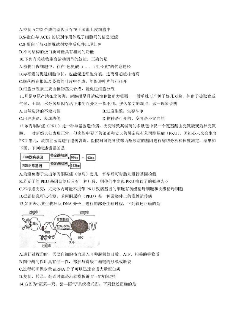 浙江省十校联盟2023届高三下学期第三次联考生物试卷+答案03