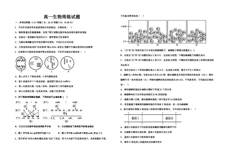 河南省漯河高级中学2022-2023学年高一生物下学期第4次月考生物试题01