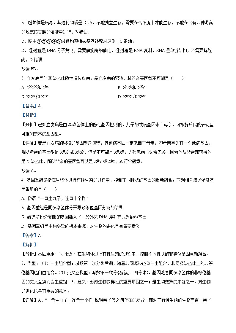精品解析：甘肃省白银市大成学校2022-2023学年高一下学期第二次月考生物试题（解析版）02