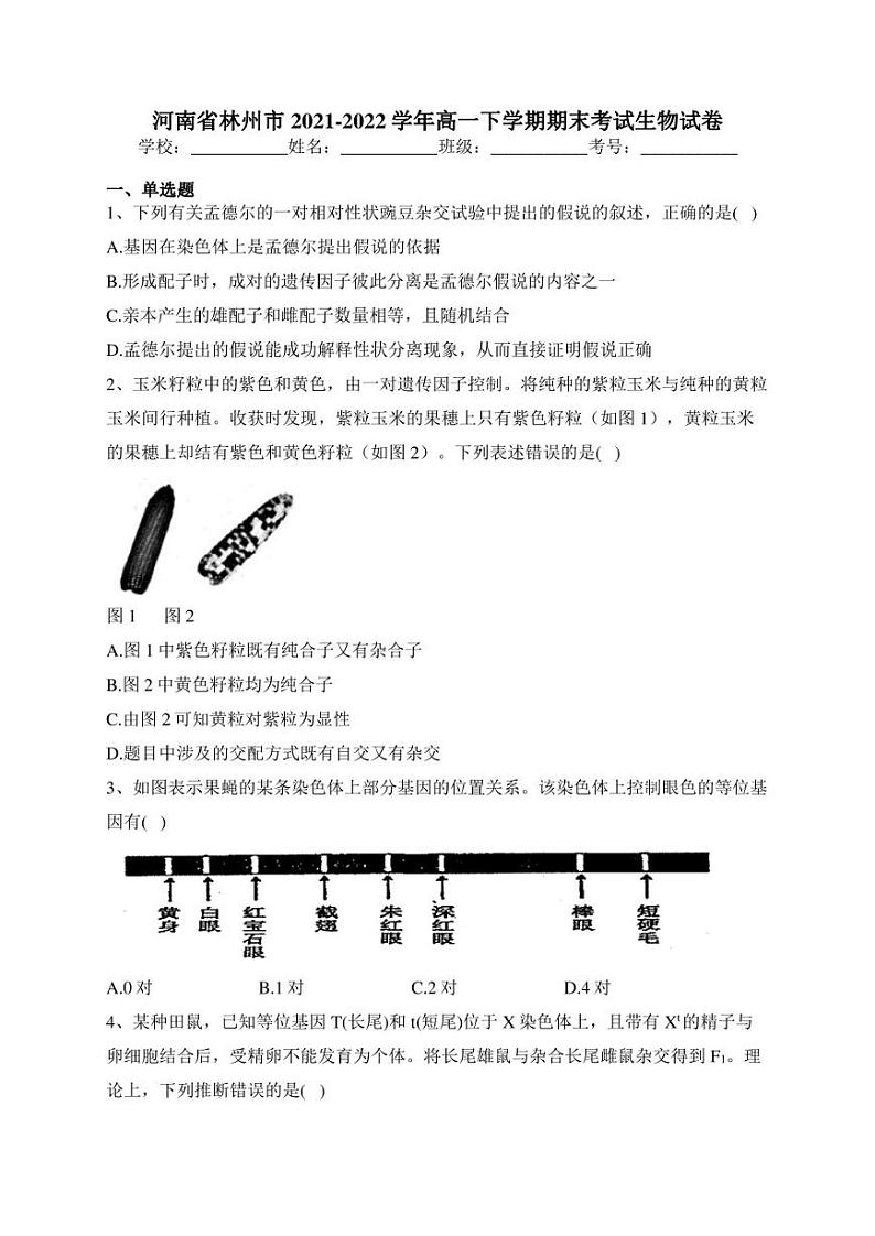 河南省林州市2021-2022学年高一下学期期末考试生物试卷(含答案)01