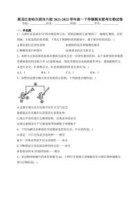 黑龙江省哈尔滨市六校2021-2022学年高一下学期期末联考生物试卷(含答案)