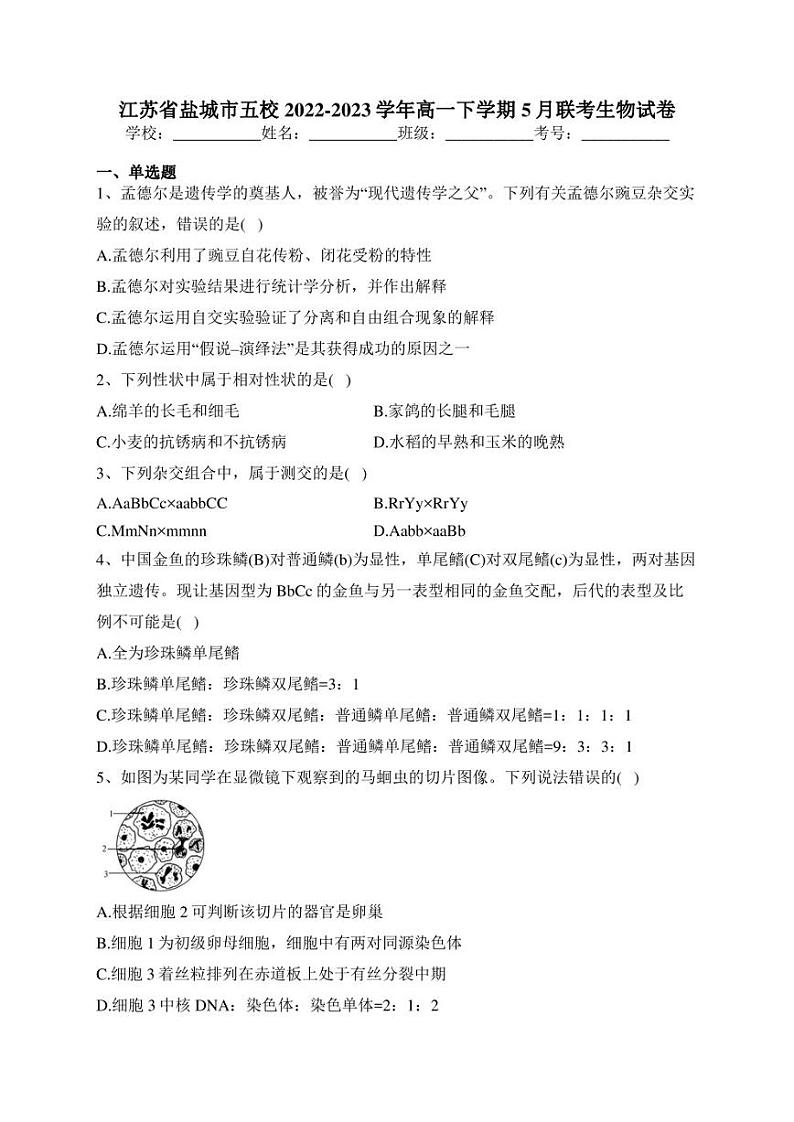 江苏省盐城市五校2022-2023学年高一下学期5月联考生物试卷(含答案)01