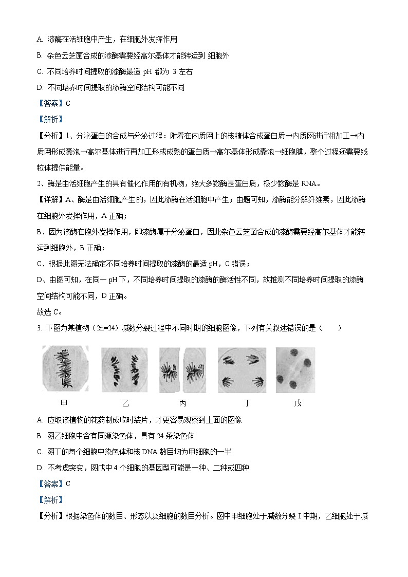 精品解析：2023届江苏省盐城市伍佑中学高三考前热身考试生物试题（解析版）02