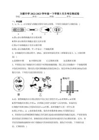 万源中学2022-2023学年高一下学期5月月考生物试卷(含答案)