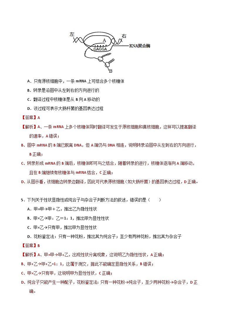 2022-2023学年高一下学期期末考前必刷卷：生物01卷（人教版必修第二册）（全解全析）02