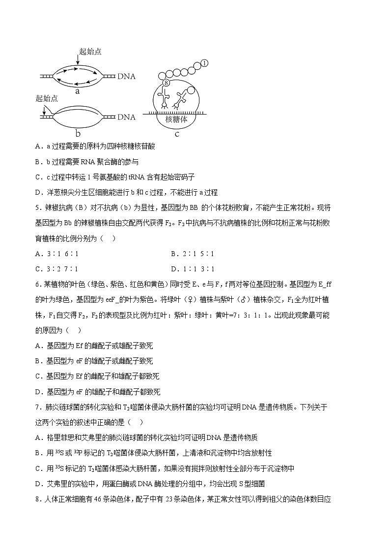 2022-2023学年高一下学期期末考前必刷卷：生物02卷（江苏专用）（考试版）（范围：必修2全本）第2页