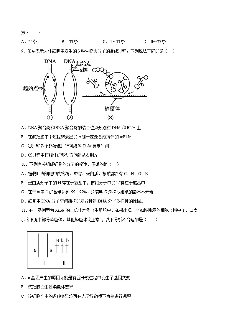 2022-2023学年高一下学期期末考前必刷卷：生物02卷（江苏专用）（考试版）（范围：必修2全本）第3页