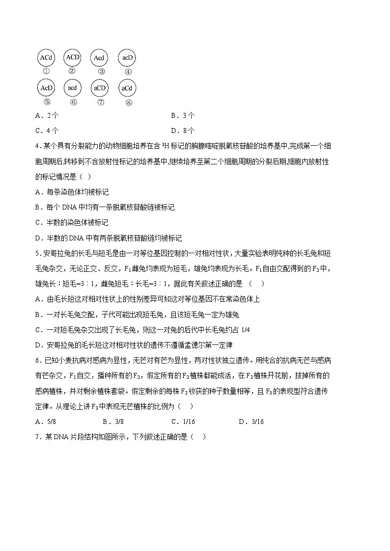 2022-2023学年高一下学期期末考前必刷卷：生物01卷（江苏专用）（考试版）（范围：必修2全本）02