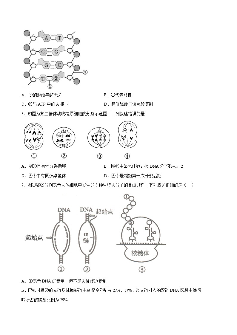 2022-2023学年高一下学期期末考前必刷卷：生物01卷（江苏专用）（考试版）（范围：必修2全本）03